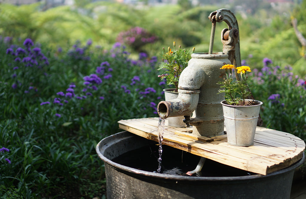 Is Tap Water Bad For Plants? The Impact of Water Quality on Plants