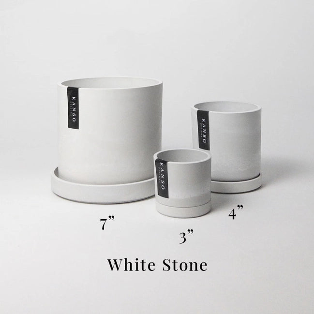 Signature Planter -3" (white stone)