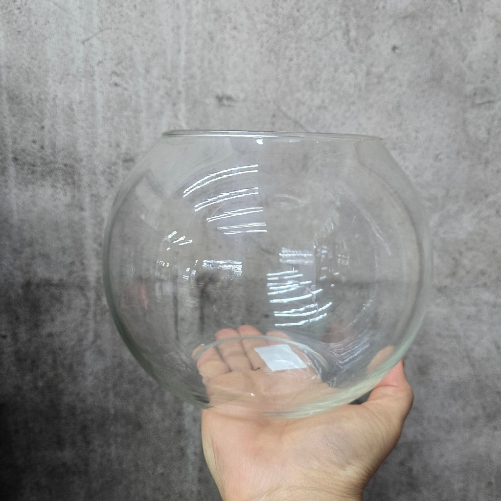 Bolla Terarium Glass Bowl - 6"