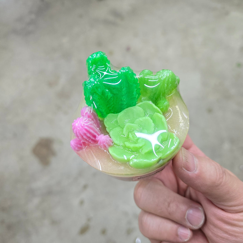 Cactus Garden soap