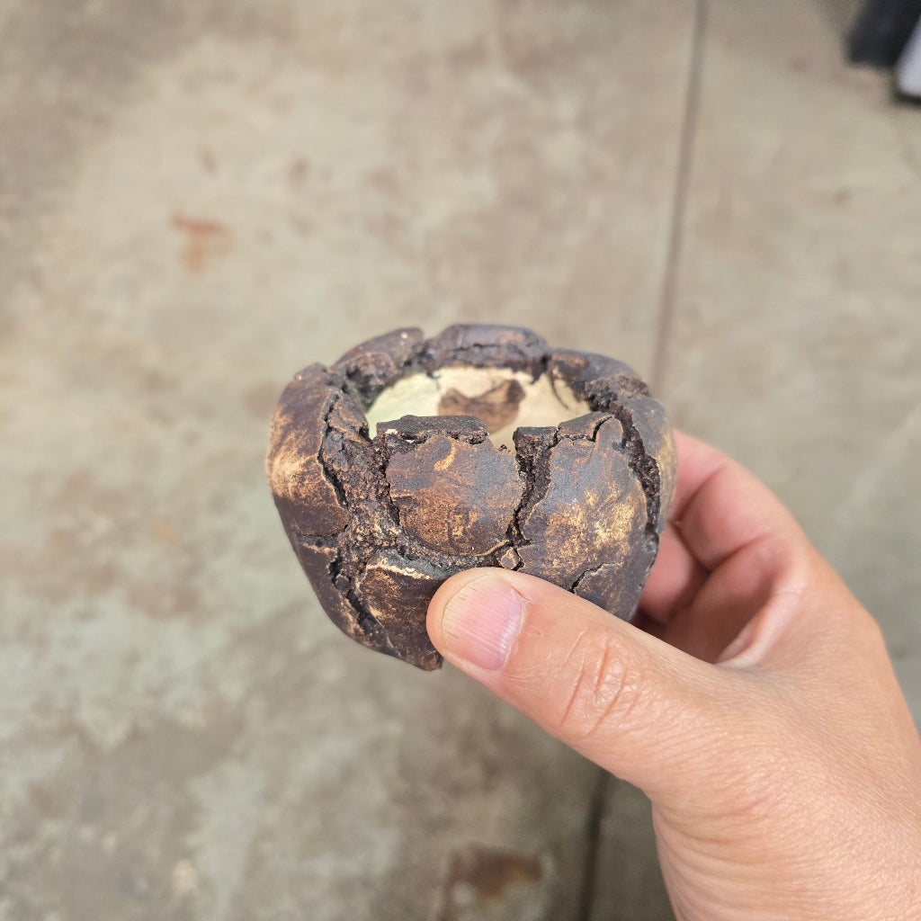 Crackle Pot - 3"