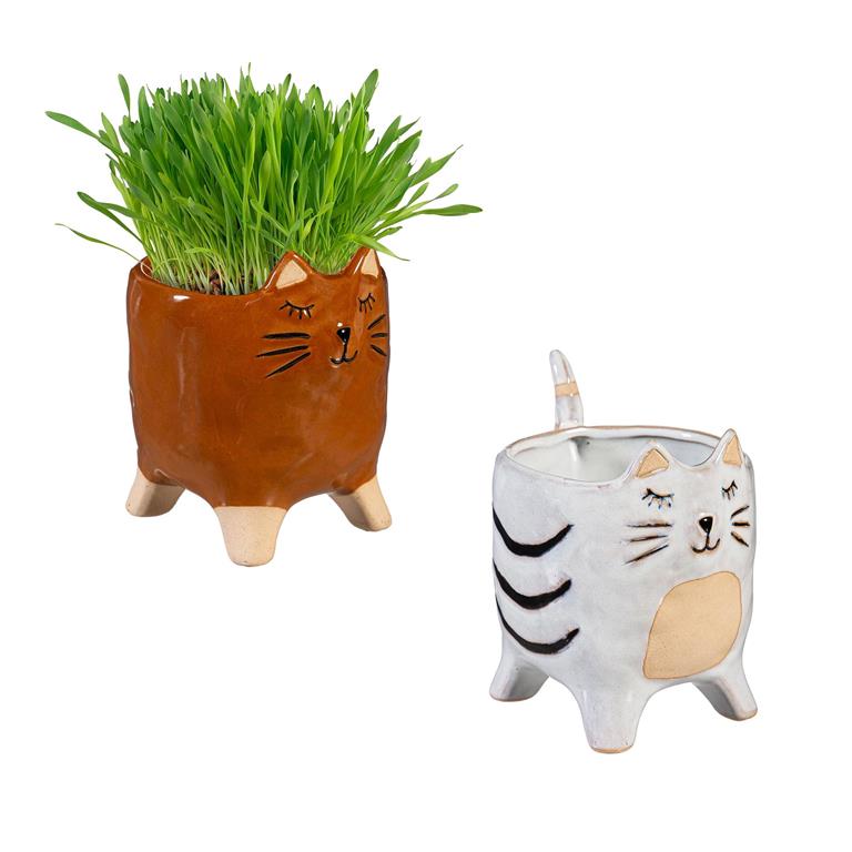 Ceramic Cat Planter - asst