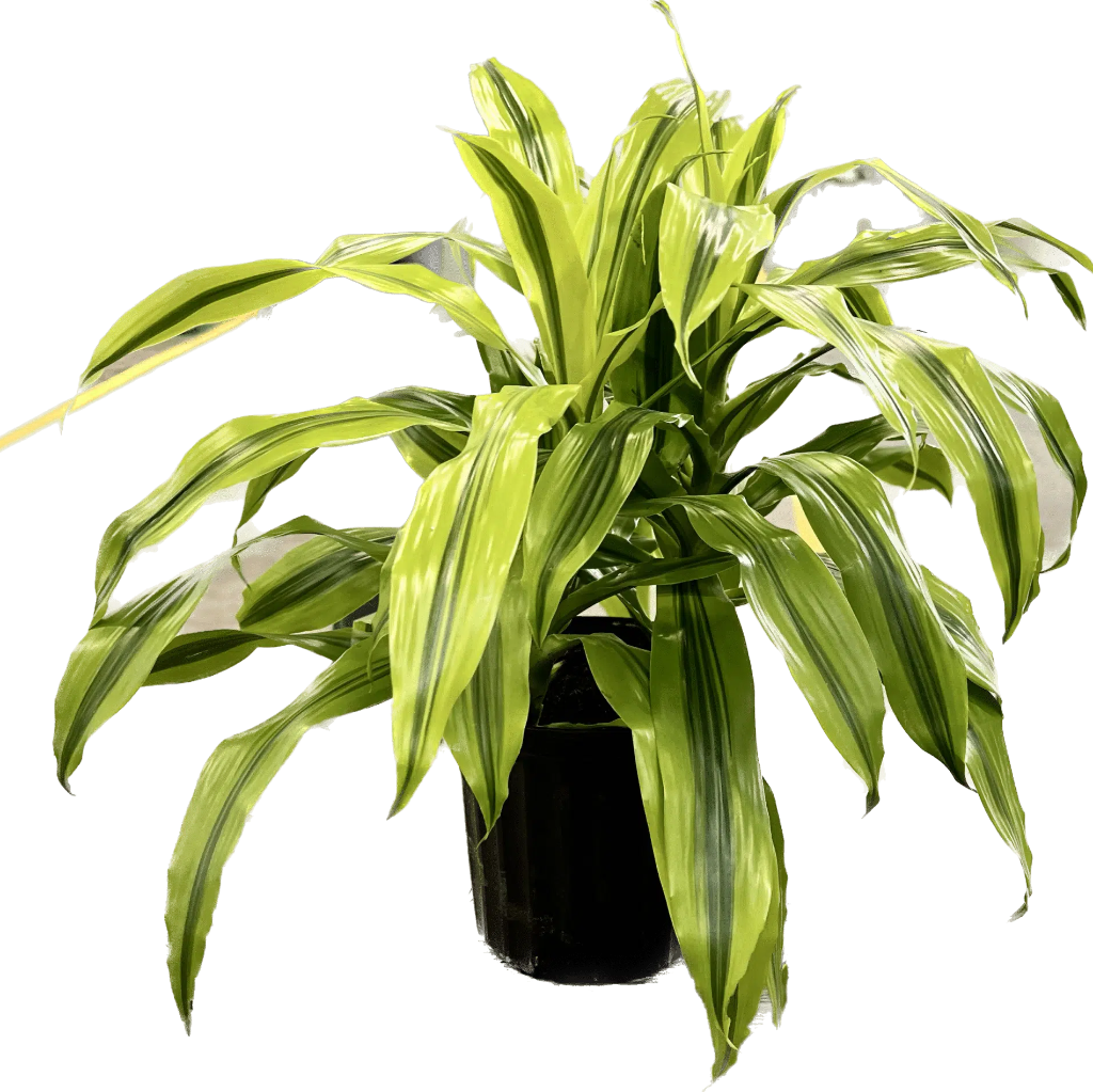 Tropical Foliage - 8" (assorted)