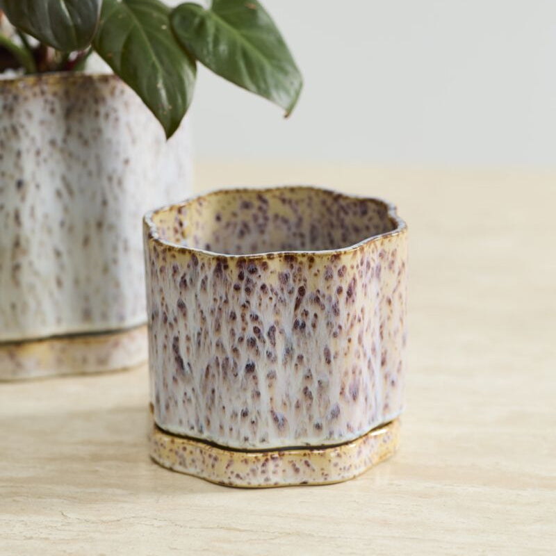 Avenell Pot - 5.5"