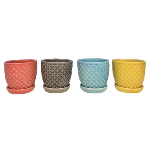 Mini Planter - 4.5" (assorted)