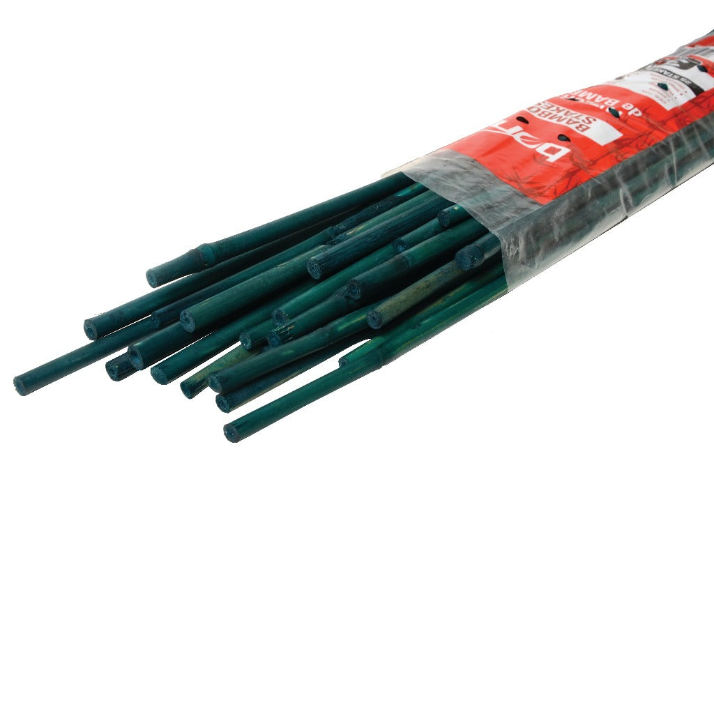 Bamboo Stake - 48"