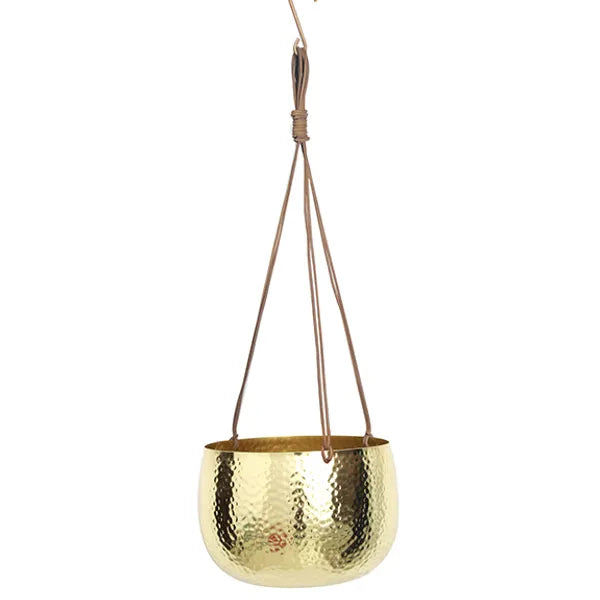 Eddison Hanging Pot - 8"