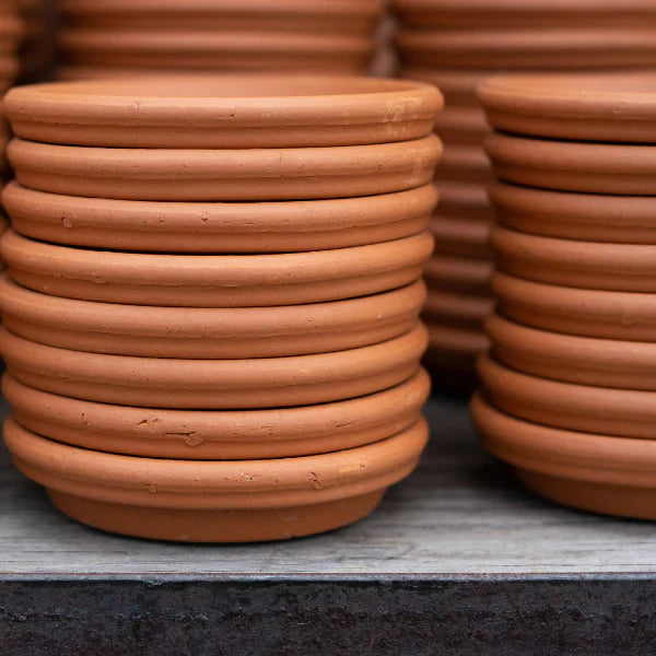 Terra cotta saucer - 3"