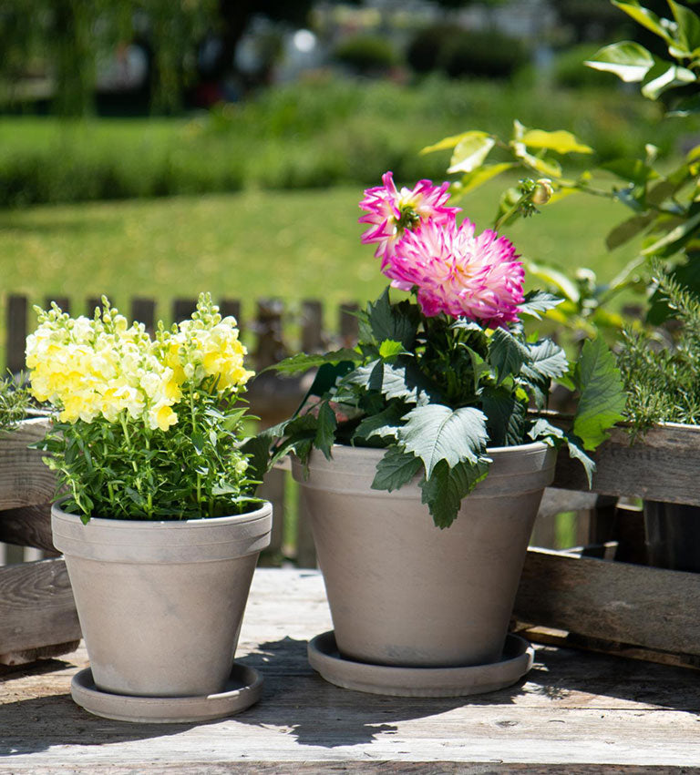 Standard Pot - 7" (dark marble)