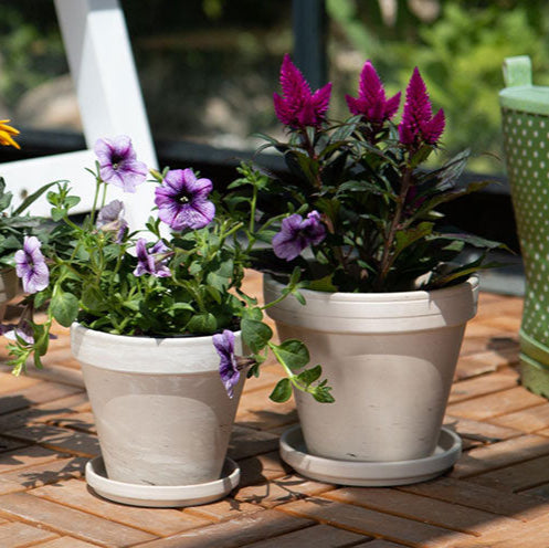 Standard Pot - 7" (granite)