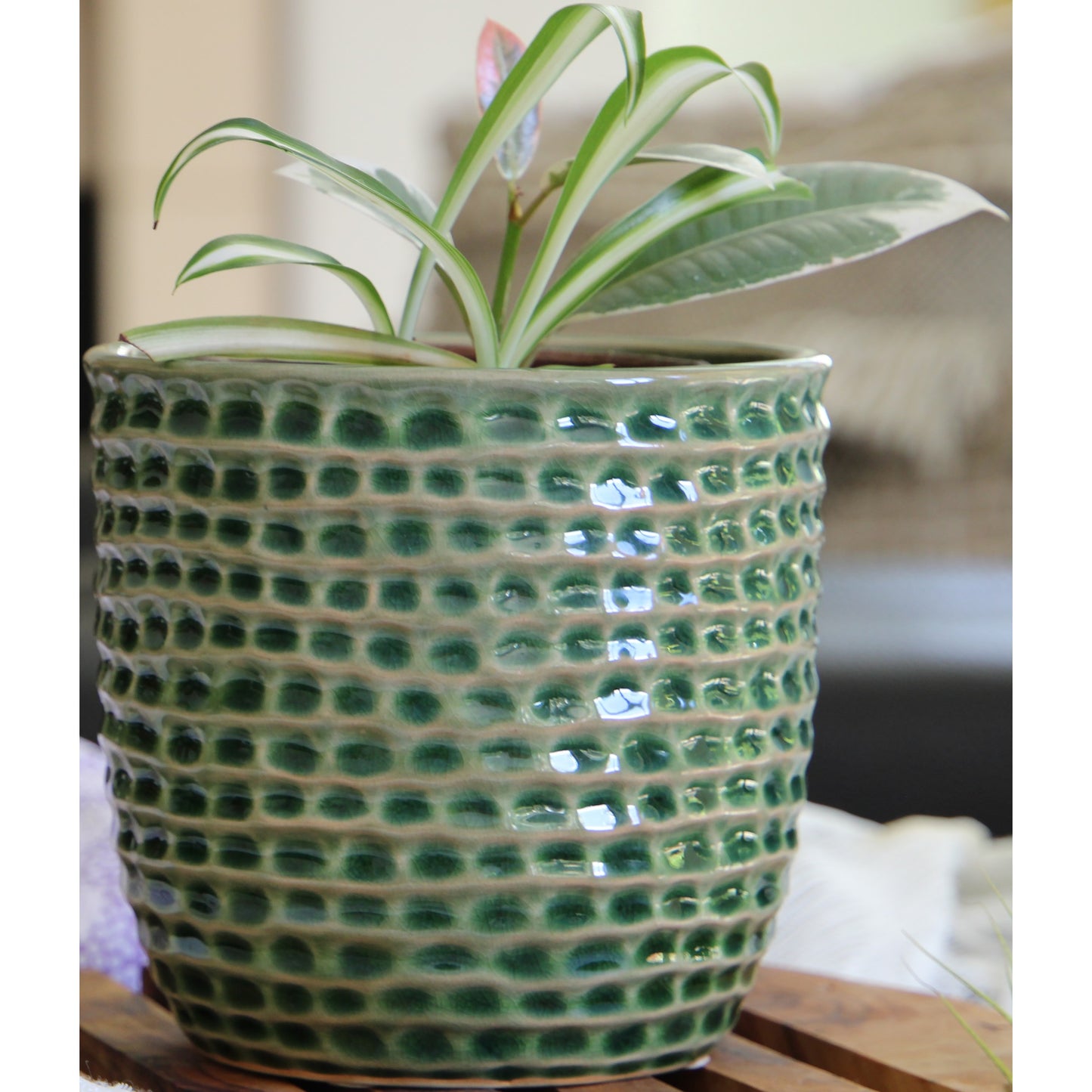 PS honeycomb planter - 5.5"