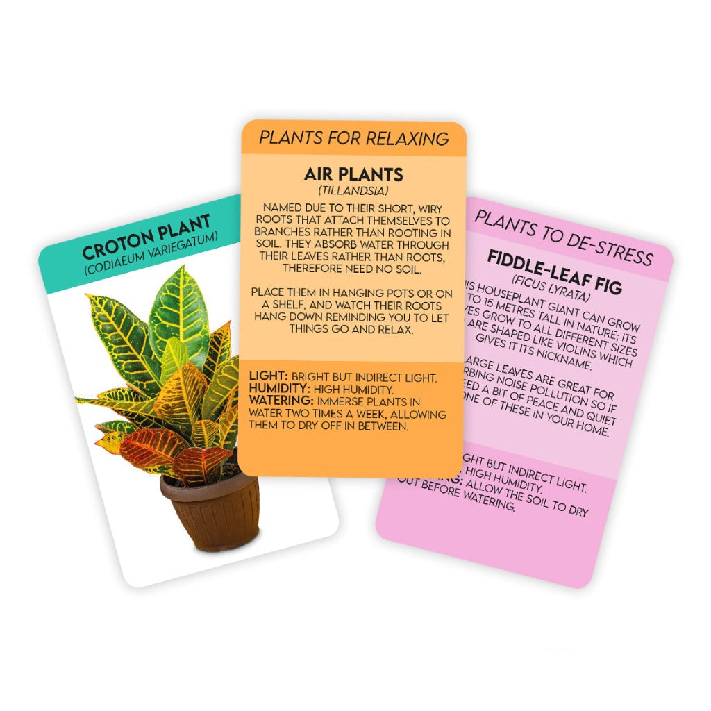 CARD PACK - POSITIVE PLANTS