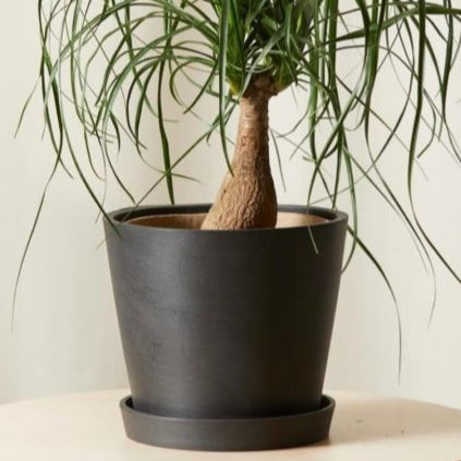 Eco-tech - Black - 10"