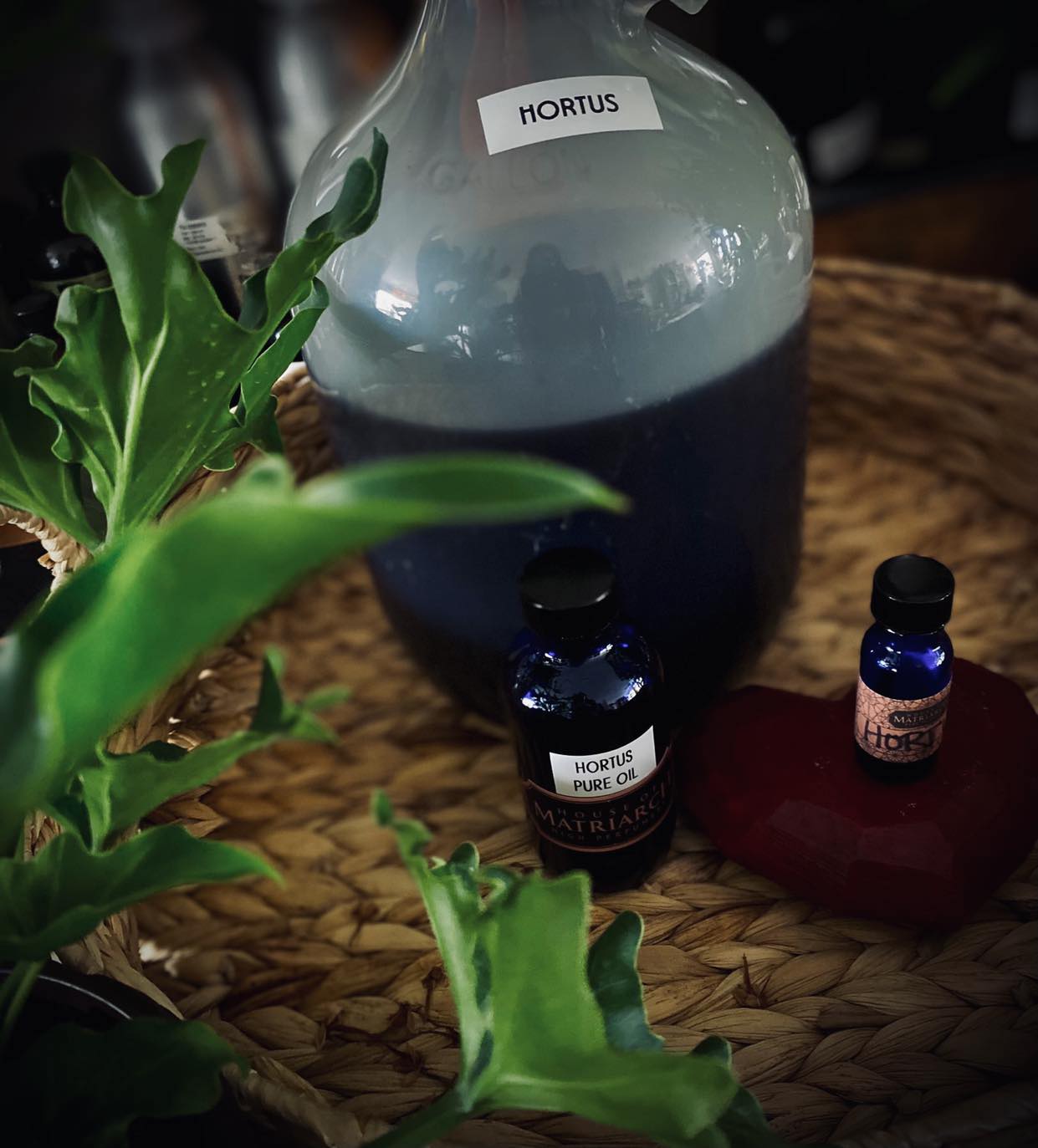 FRAGRANCE - Hortus - 1 Oz
