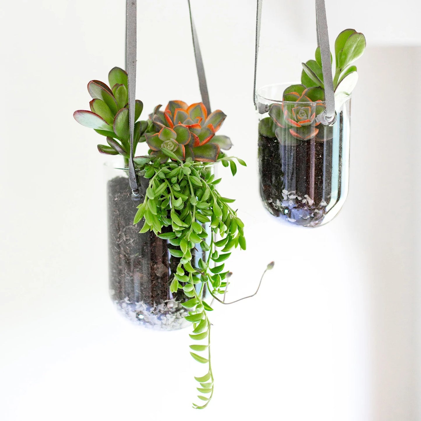 Glass Capsule Hanging Planter - 4"