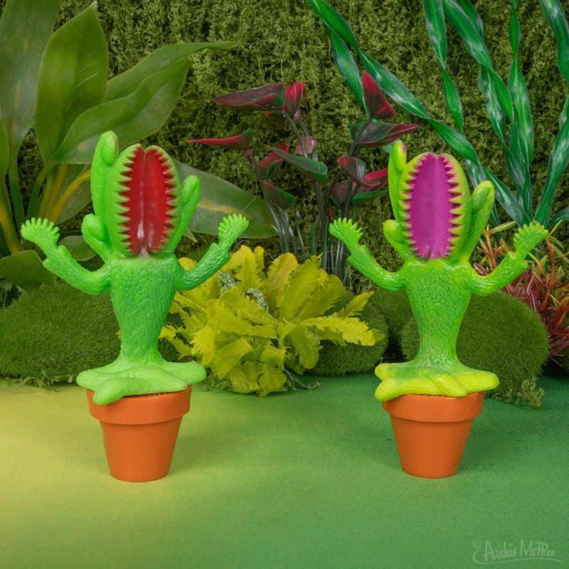 Miniature - Meditating Venus Flytrap