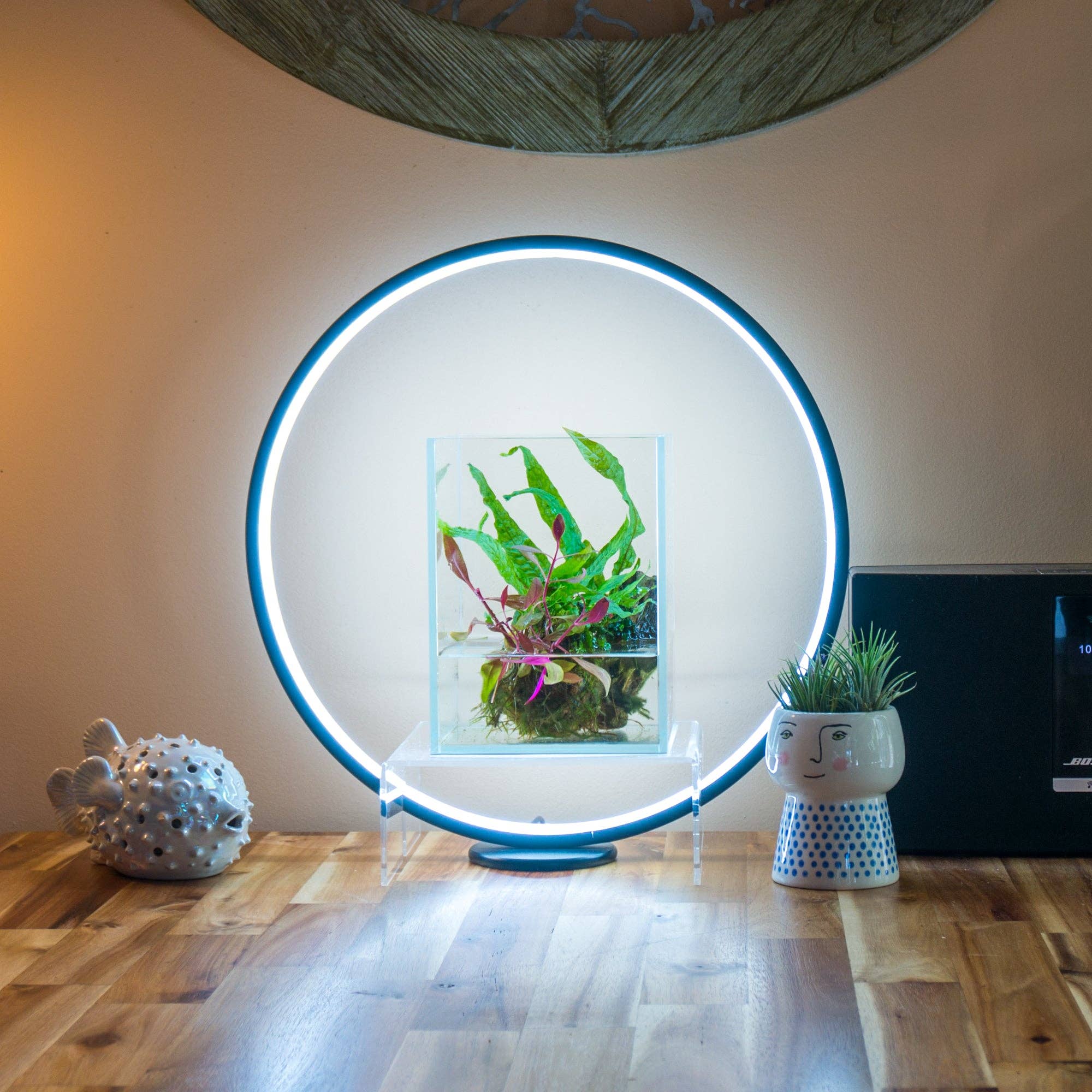 Circle Full Spectrum Plant Grow Light w/ Display Stand