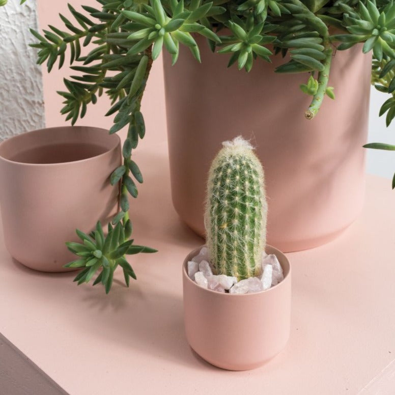 PLANTERS - Kendall Pot - 3.25" (Light Pink)