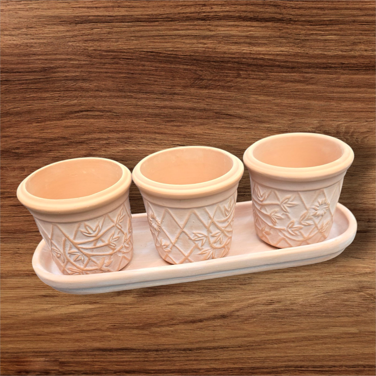 PLANTERS - Mini Terra Cotta Pots - Set Of 3