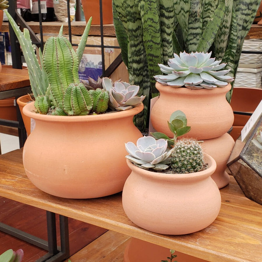 PLANTERS - Wash Pot - 6"