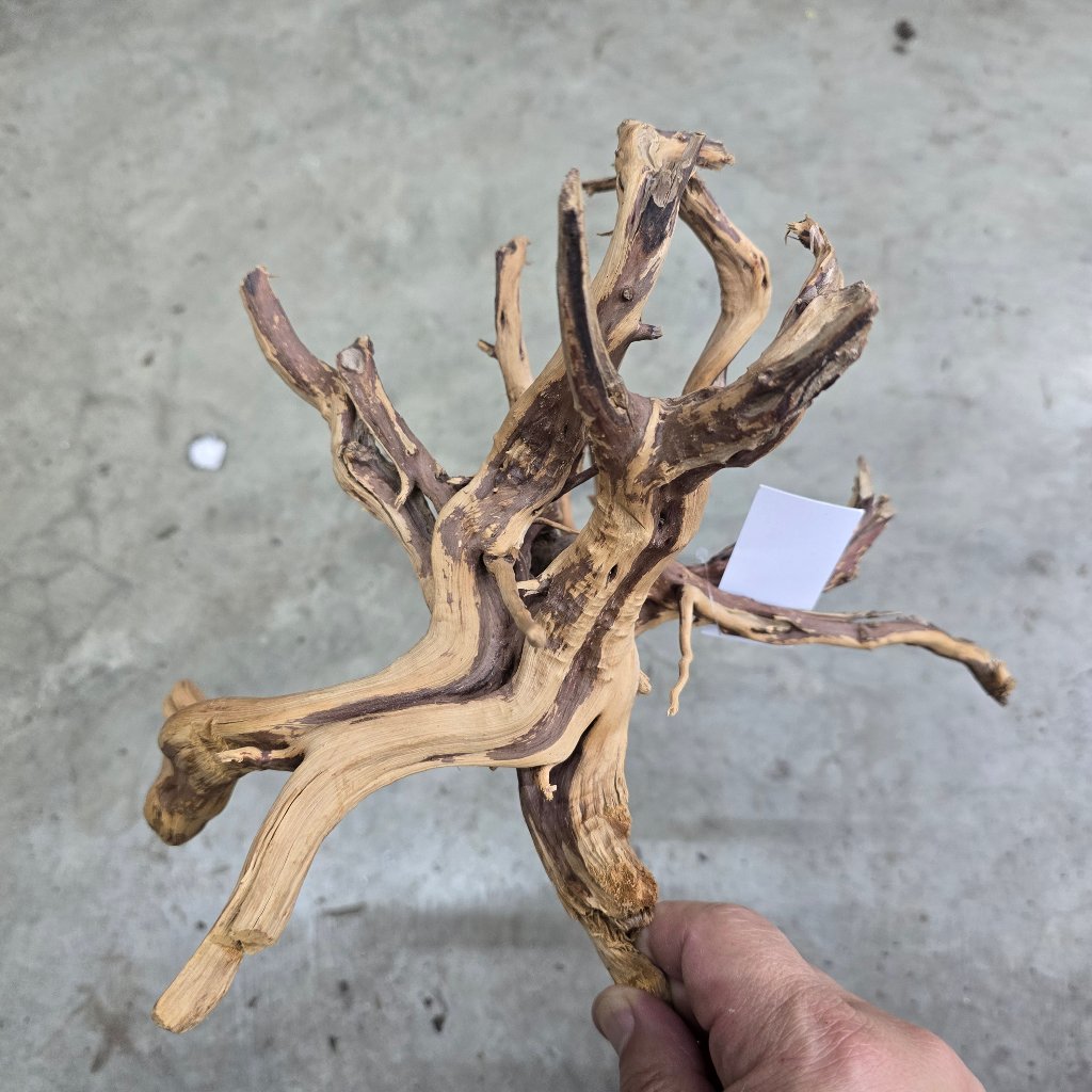 TERRARIUM WOOD - Pine Wood