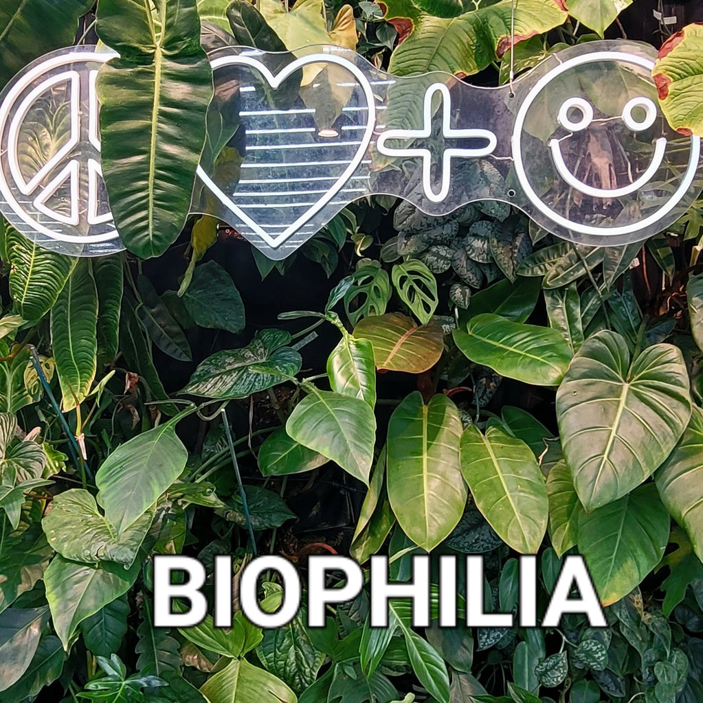 The importance of Biophilia in this new world