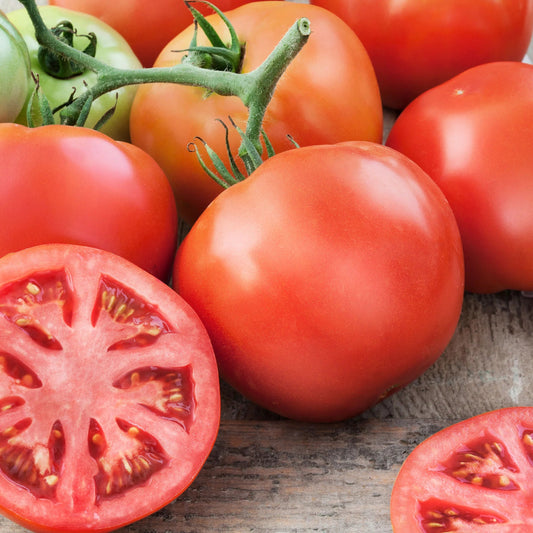 Tomato - Big Beef - 3.5"