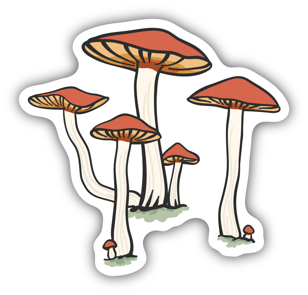 Stickers - Assorted