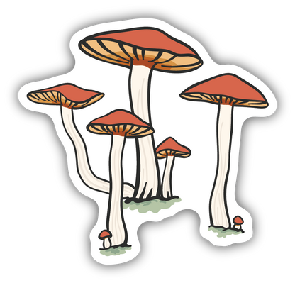 Stickers - Assorted