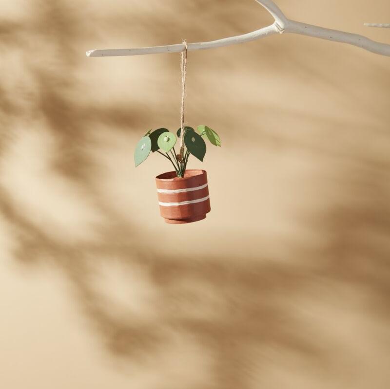 Ornament - Pilea