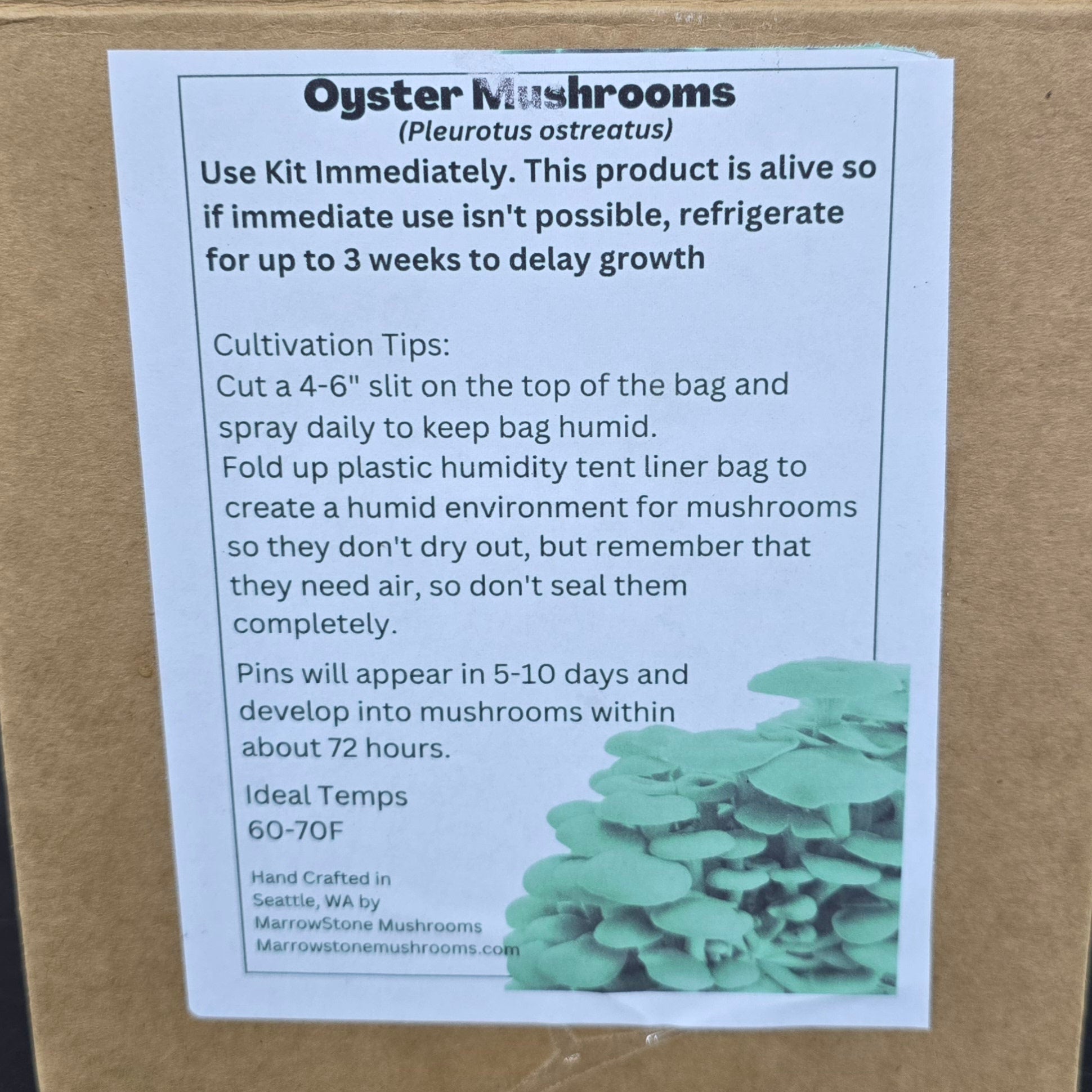 Oyster Mushroom Kit