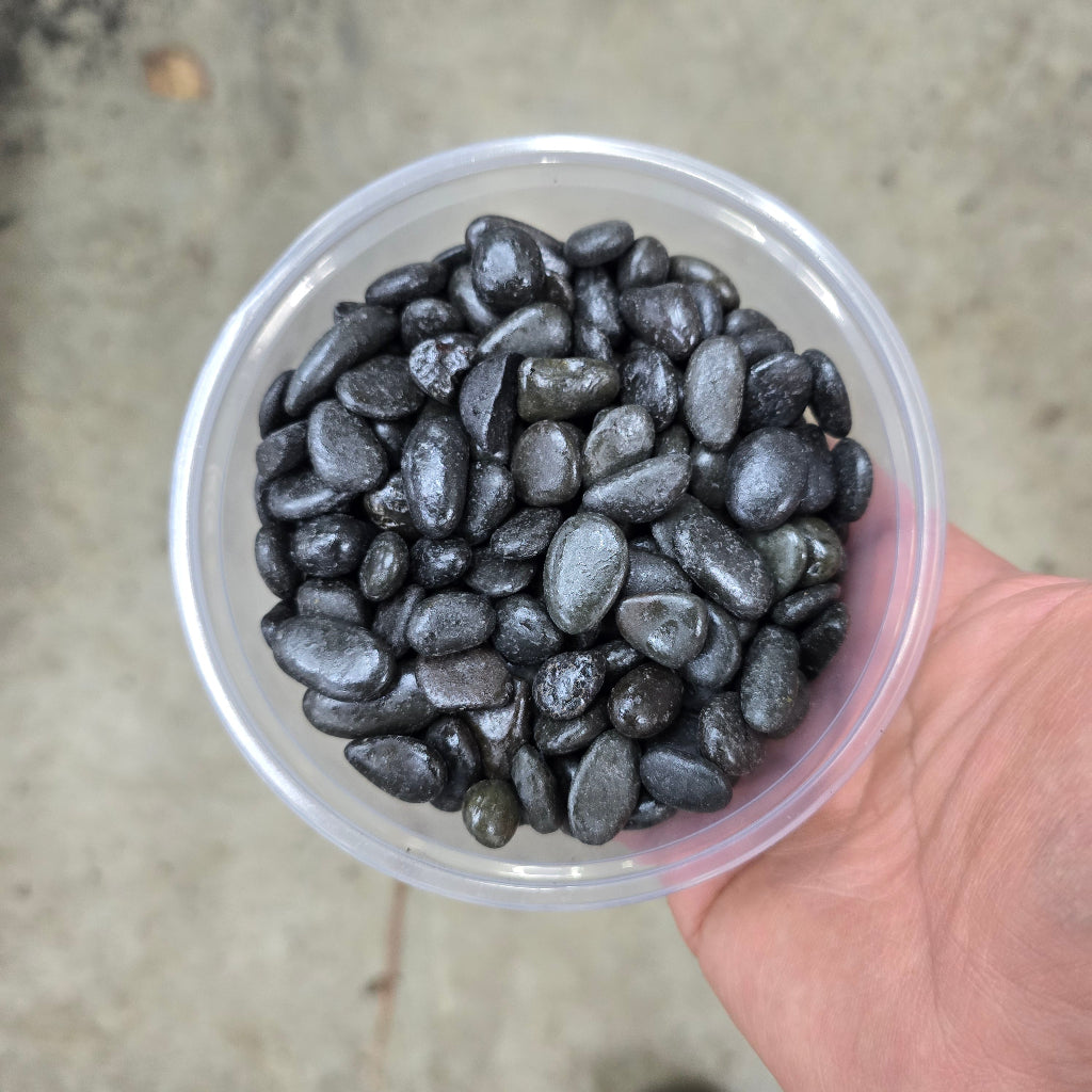 Mexican Pebble - 8 oz