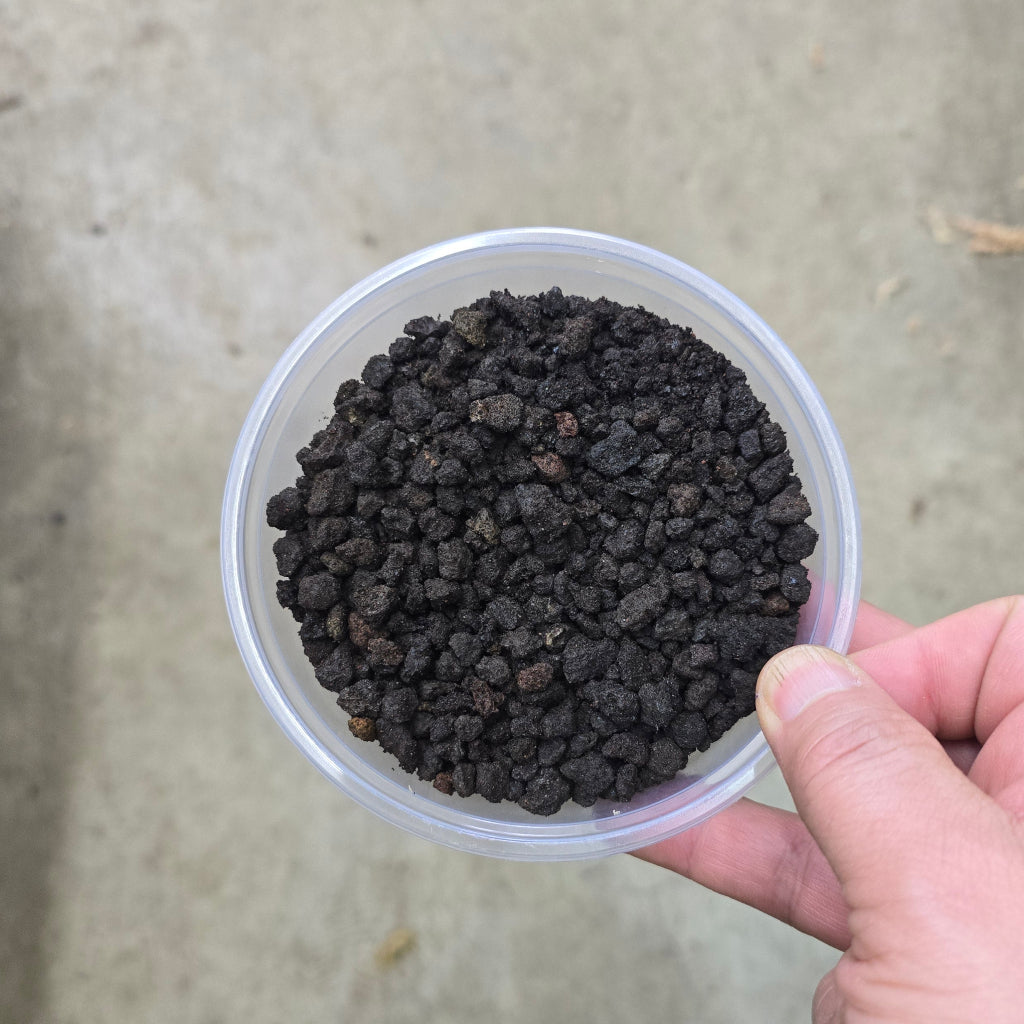 Lava Rock - 8 oz