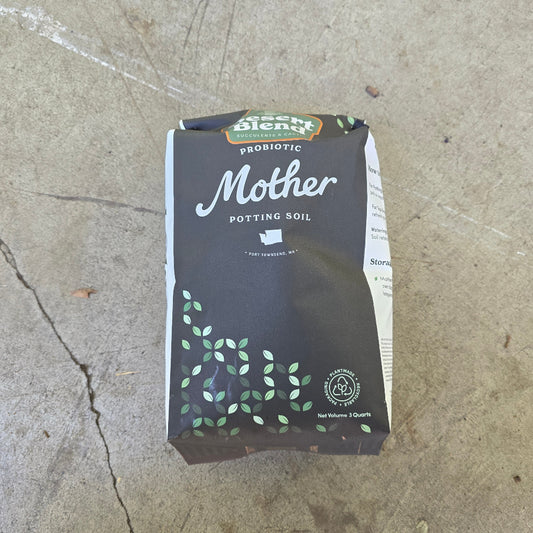 Mother Potting Soil - 3 QT (Desert blend)