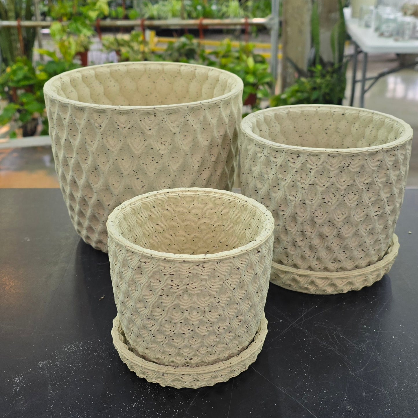 June Planter