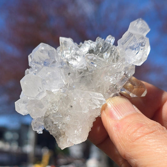 Clear Quartz Cluster
