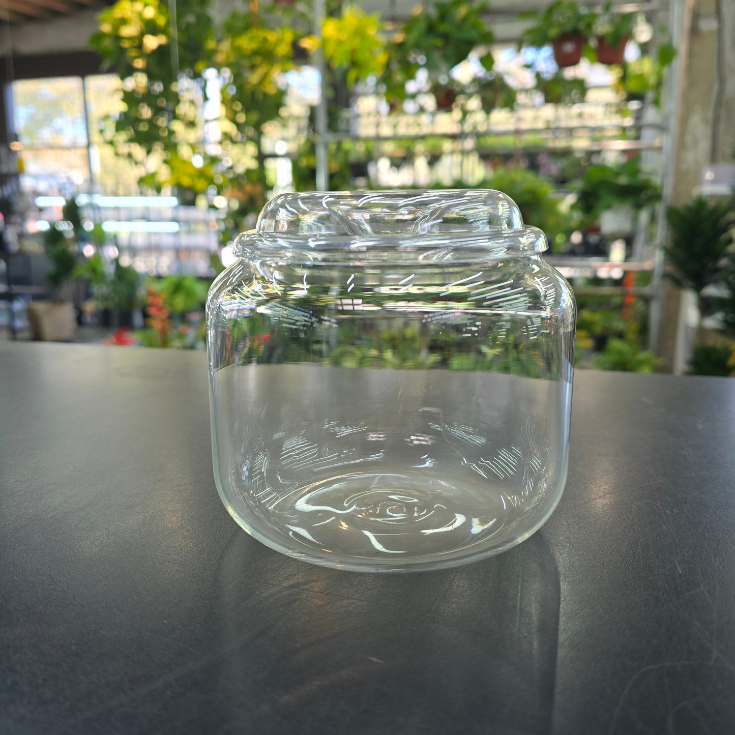 Orb Terrarium