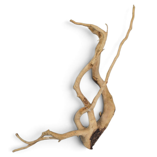 Spider wood