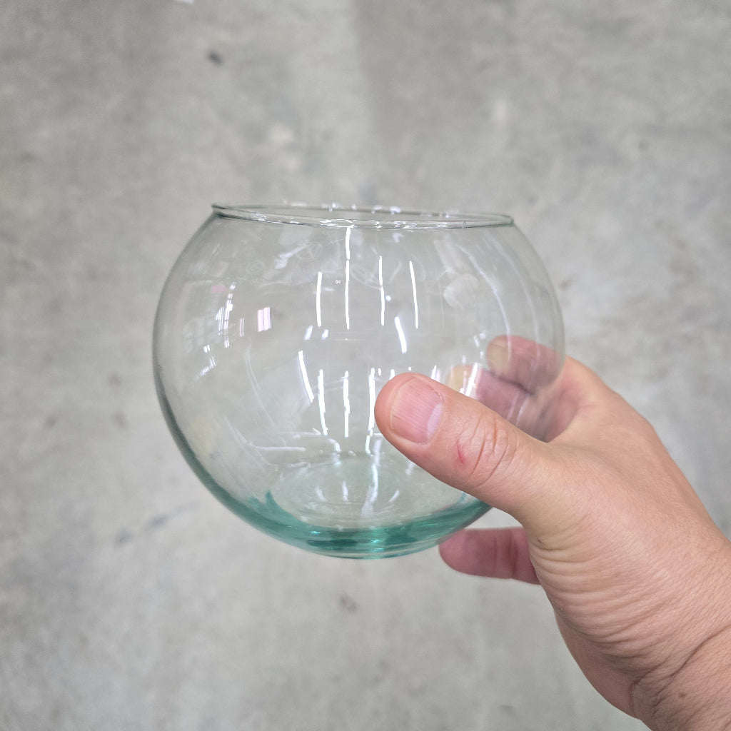 Glass Terrarium Bowl