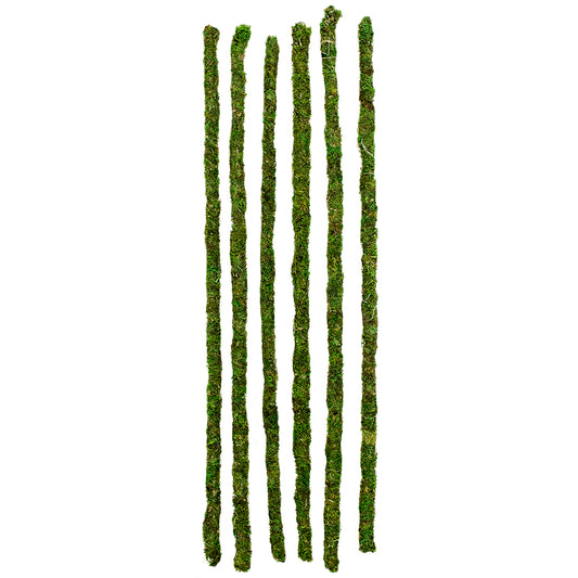 Natural Moss Stake - 24"