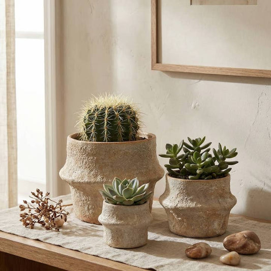 Solene Planter - 8"