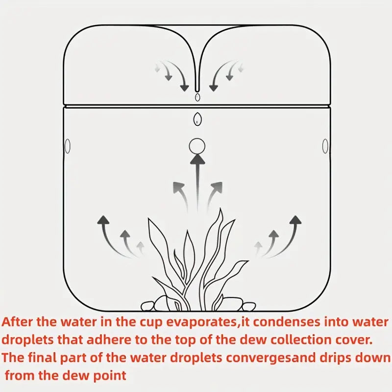 Drop Glass Terrarium