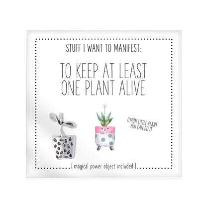 Stuff I want to  manifest - assorted