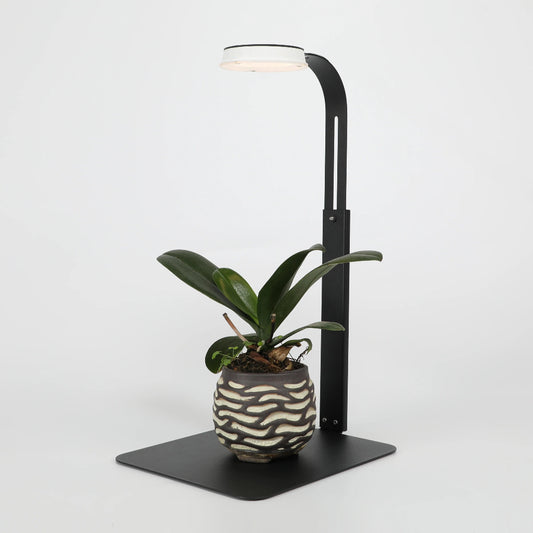 Aerlumi LED Plant Light