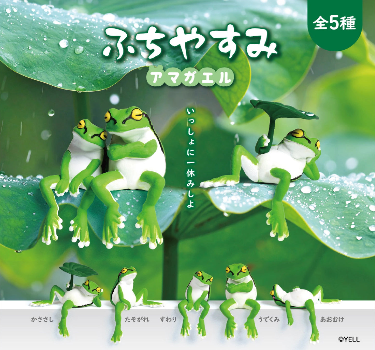 Blindbox - Resting Tree Frog
