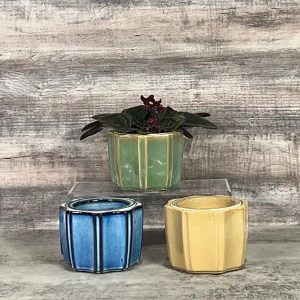 Octagon Self Watering Pot - 5.25"