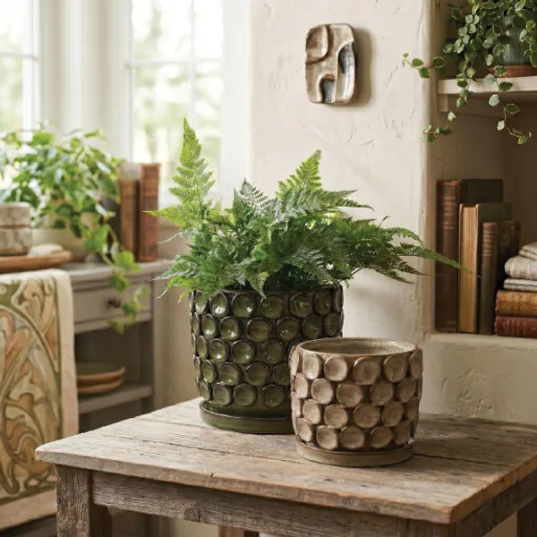 Ocho Pot - 6.25" (deep fern)