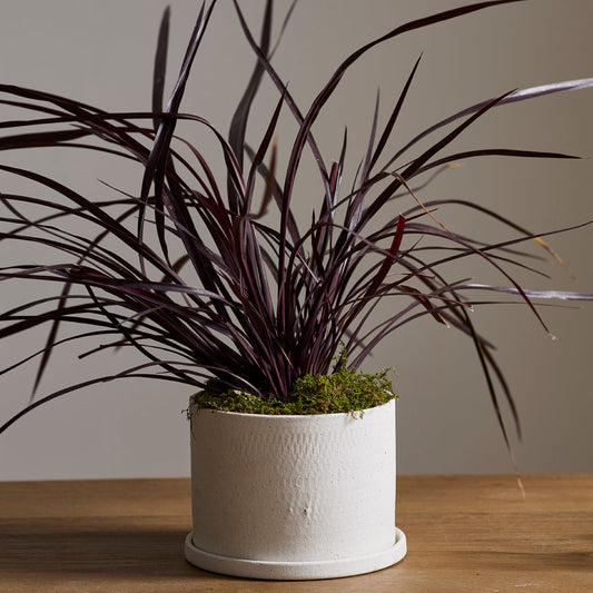 Easton planter - 7.5" white