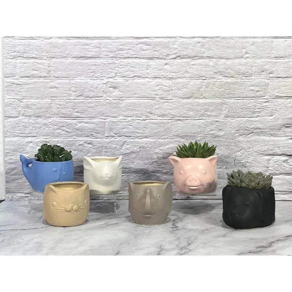 Animal Face Planter - 6"