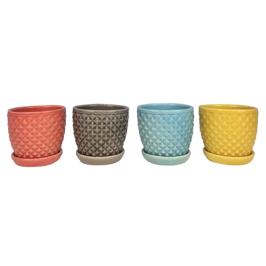 Mini Planter - 4.5" (assorted)